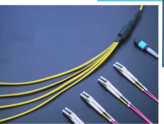 MPO & MTP Patch Cords