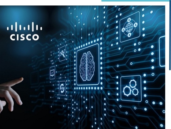 Cisco Supplier in Doha, Qatar